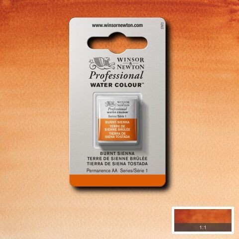 WINSOR & NEWTON ACUARELA PROFESIONAL 074 TIERRA DE SIENA TOSTADA