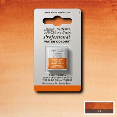 WINSOR & NEWTON ACUARELA PROFESIONAL 074 TIERRA DE SIENA TOSTADA