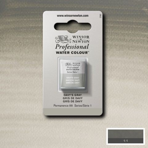 WINSOR & NEWTON ACUARELA PROFESIONAL 217 GRIS DE DAVY