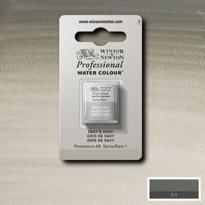 WINSOR & NEWTON ACUARELA PROFESIONAL 217 GRIS DE DAVY