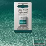 WINSOR & NEWTON ACUARELA PROFESIONAL 185 VERDE DE COBALTO OSCURO