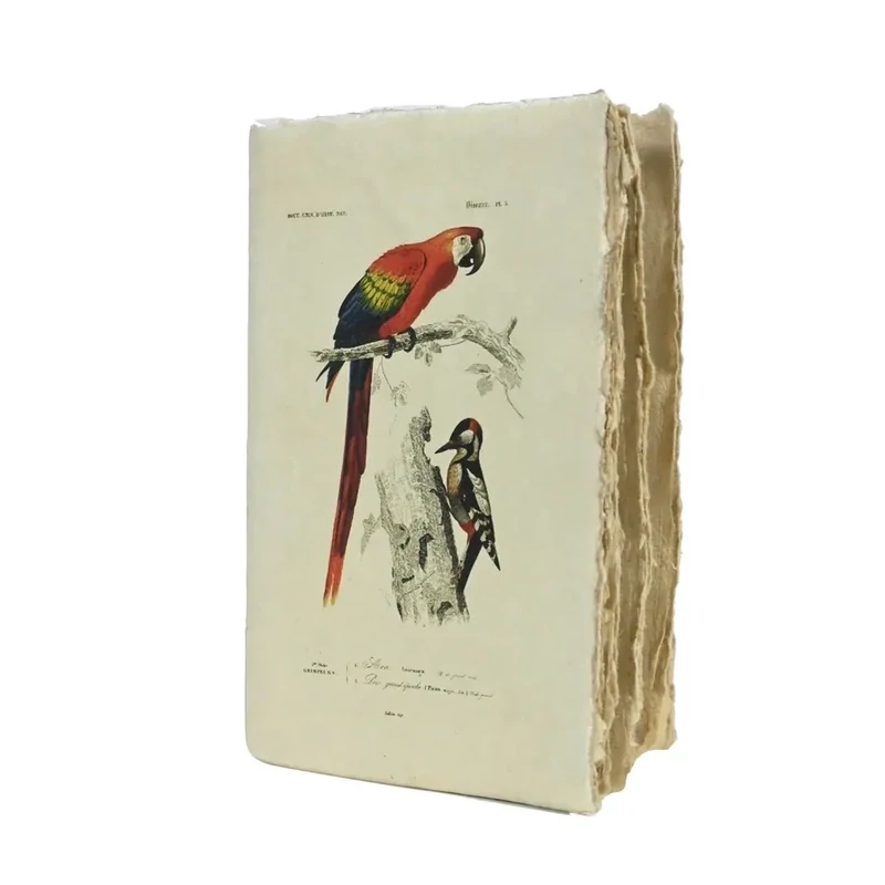 ÉPIGR'AM CUADERNO ARTESANAL GUACAMAYO