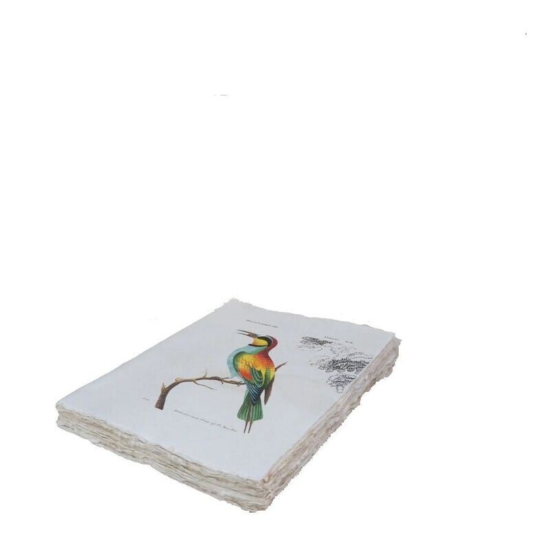 ÉPIGR'AM CUADERNO ARTESANAL MARTÍN PESCADOR
