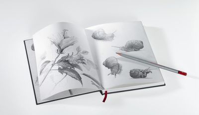 SKETCHBOOKS