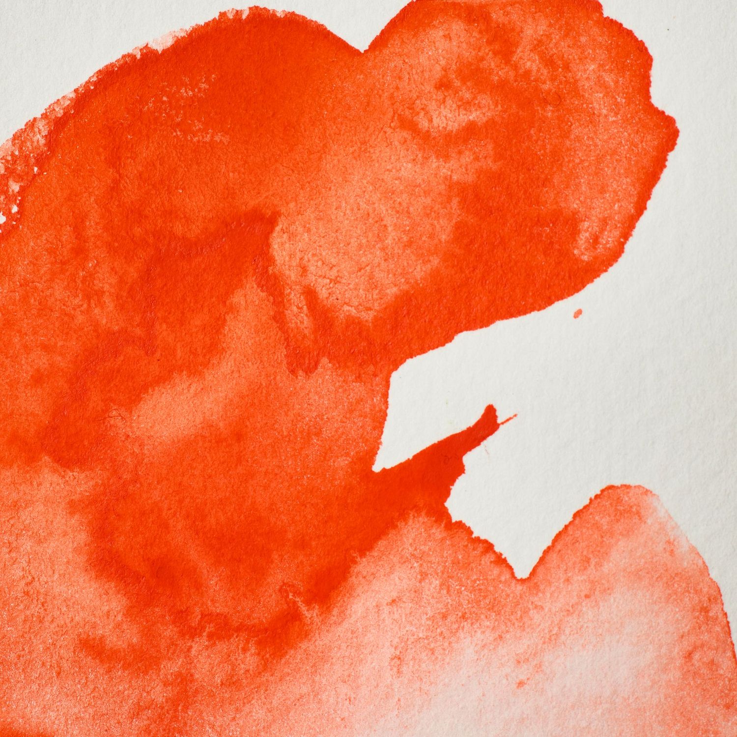 WINSOR & NEWTON ACUARELA PROFESIONAL 418 NARANJA DE FIELD