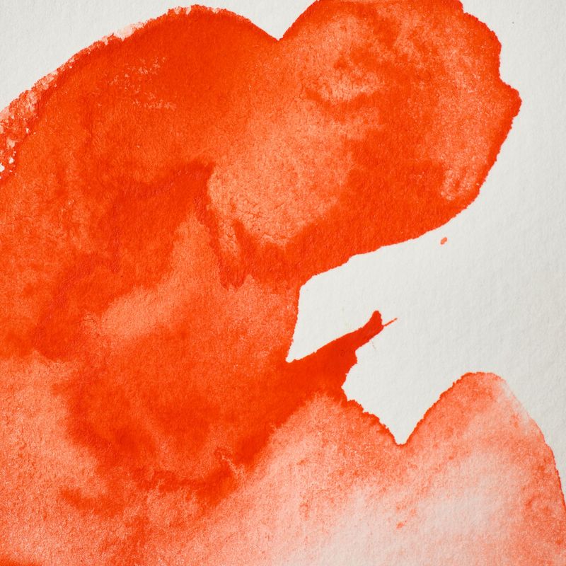 WINSOR & NEWTON ACUARELA PROFESIONAL 418 NARANJA DE FIELD