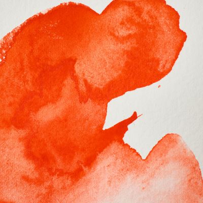 WINSOR & NEWTON ACUARELA PROFESIONAL 418 NARANJA DE FIELD