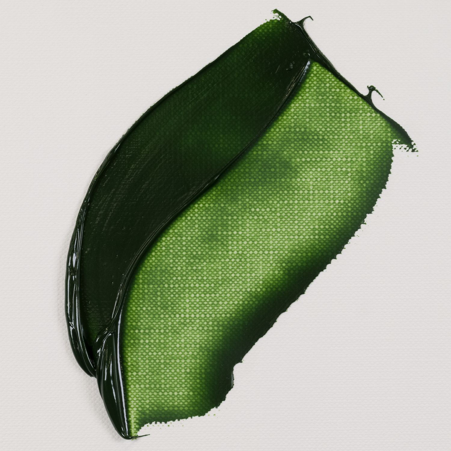VAN GOGH VERDE VEJIGA 623