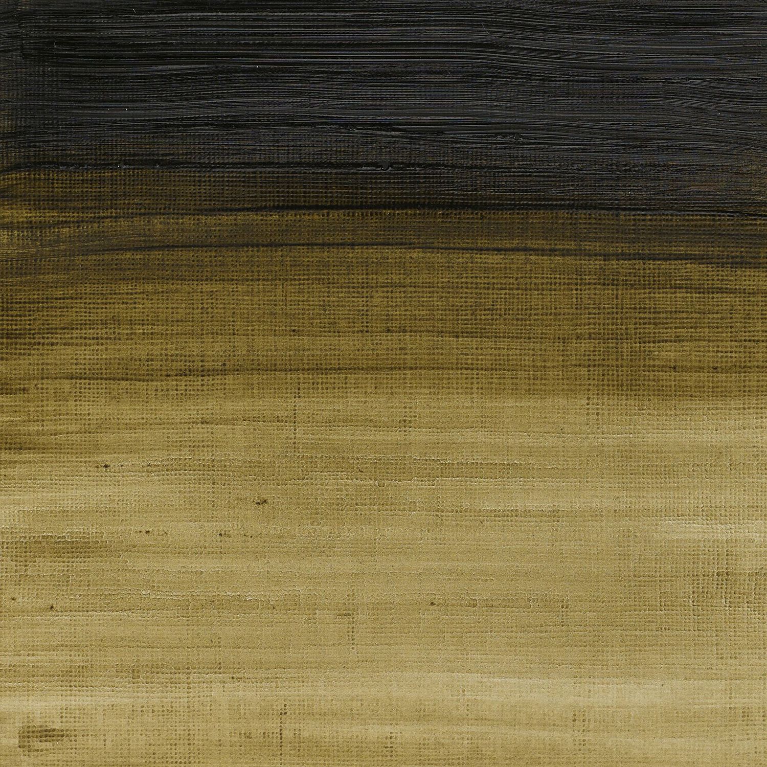 WINSOR & NEWTON ÓLEO VERDE OLIVA 447 WINSOR & NEWTON ÓLEO VERDE OLIVA 447