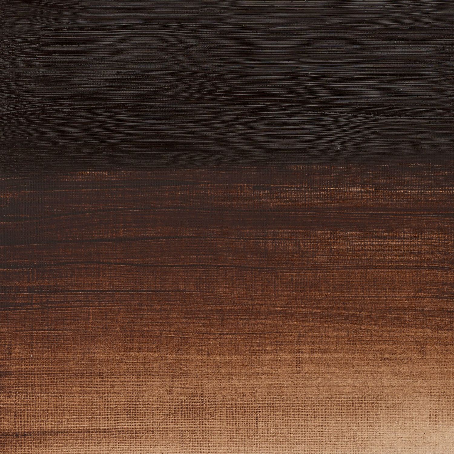 WINSOR & NEWTON ÓLEO ARTISAN TIERRA DE SOMBRA TOSTADA 076