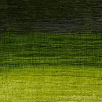 WINSOR & NEWTON ÓLEO ARTISAN VERDE VEJIGA PERMANENTE 503