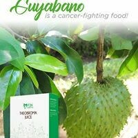 THEOBROMA JUICE MIX