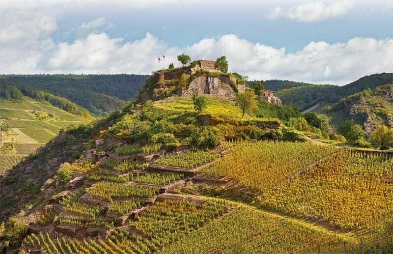 ? Kaiserbox ?- ? In vino veritas ?Ahr