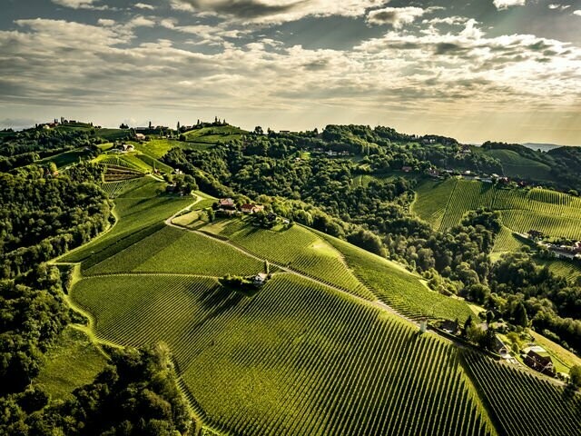 ? Kaiserbox ?- ? In vino veritas ?Steiermark ??
