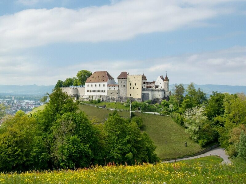 ? Kaiserbox ?- ? In vino veritas ?Aargau ??