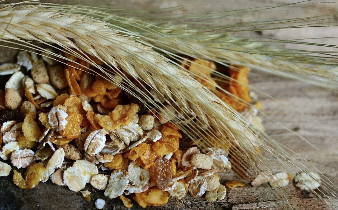? Kaiserbox ?- Schoko-König - ? Müesli ?