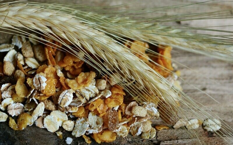 ? Kaiserbox ?- Schoko-König - ? Müesli ?