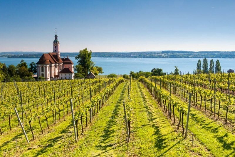 ? Kaiserbox ?- ? In vino veritas ?Wünsch Dir was ????????