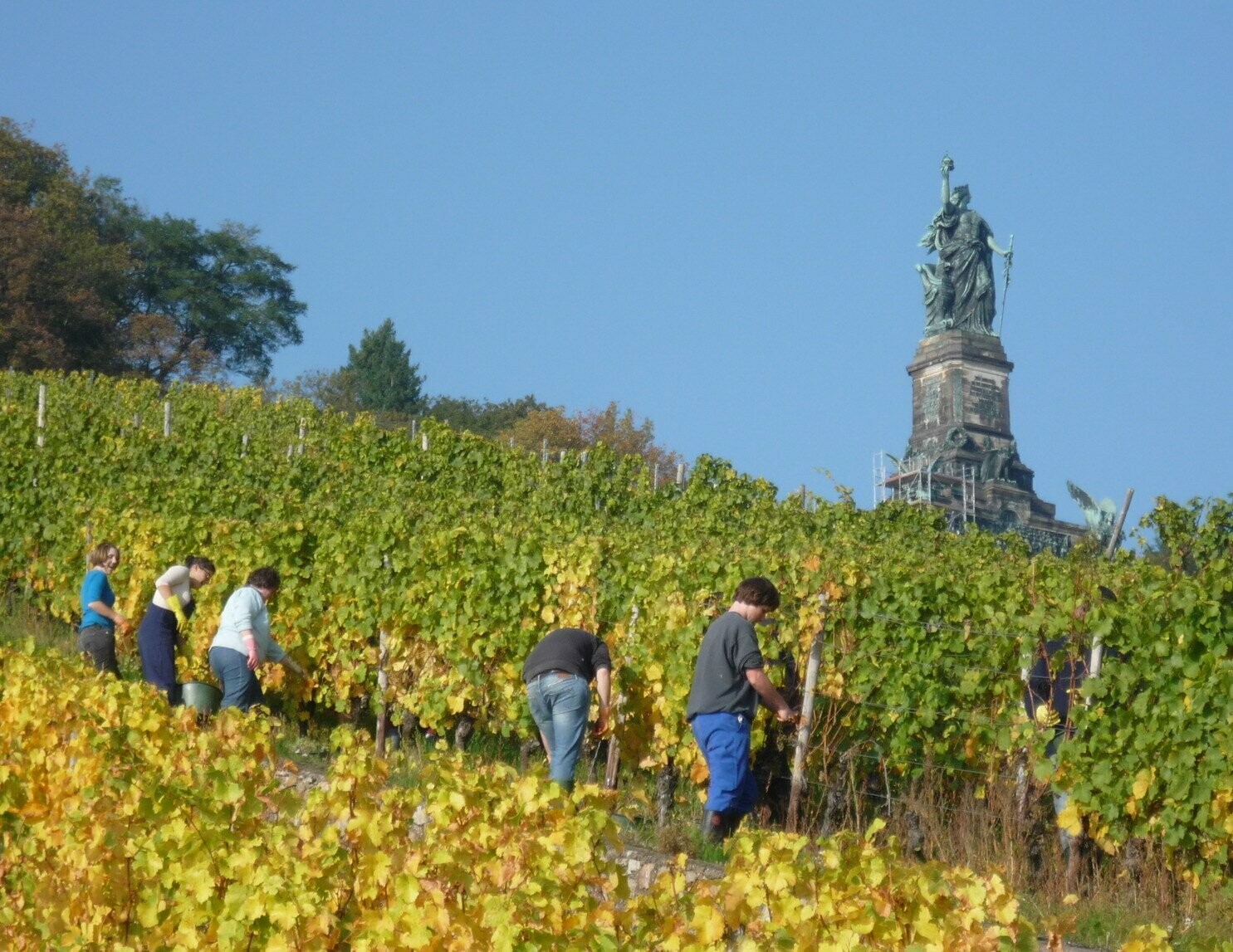 ? Kaiserbox ?- ? In vino veritas ?Rheingau