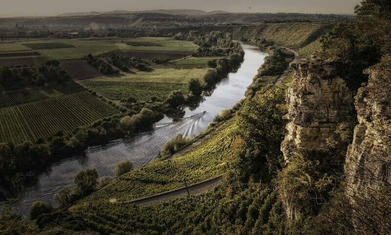 ? Kaiserbox ?- ? In vino veritas ?Württemberg - Weiße Reben ? Kaiserbox ?- ? In vino veritas ?Württemberg - Weiße Reben
