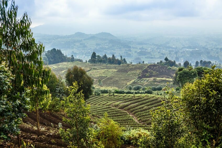 ? Kaiserbox ?- Kaffee ☕⛰️Ruanda