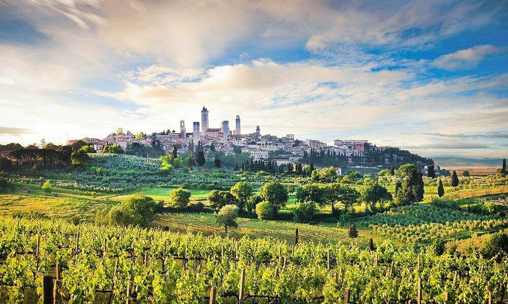 ? Kaiserbox ?- ? In vino veritas ?Cuore ❤️della Toscana  ??- Rote Reben