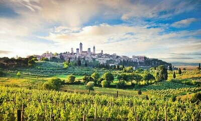 👑 Kaiserbox 👑- 🍇 In vino veritas 🍷Cuore ❤️della Toscana 🇮🇹- Rote Reben