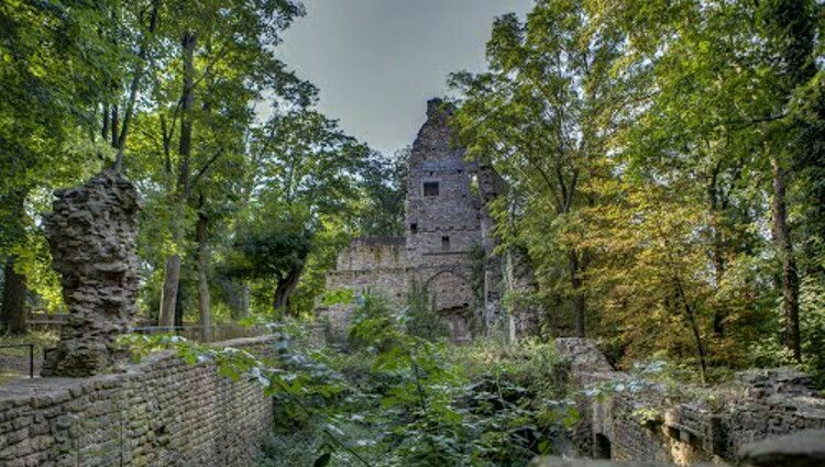 ? Kaiserbox ?-  ? Hildegards ⛪ Kräutergarten ?