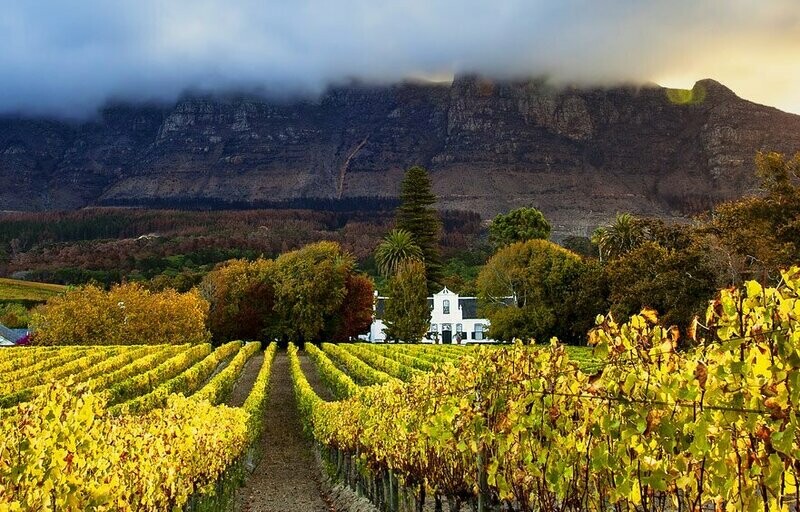 ? Kaiserbox ?- ? In vino veritas ?Kaap die Goeie Hoop ?? ? Kaiserbox ?- ? In vino veritas ?Kaap die Goeie Hoop ??