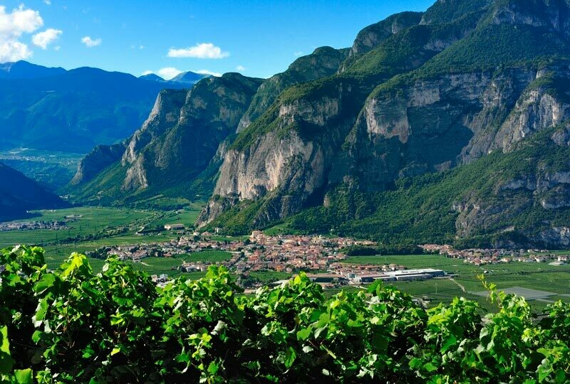 ? Kaiserbox ?- ?In vino veritas ?Trentino ??   ??​- Mezzacorona / Kronmetz