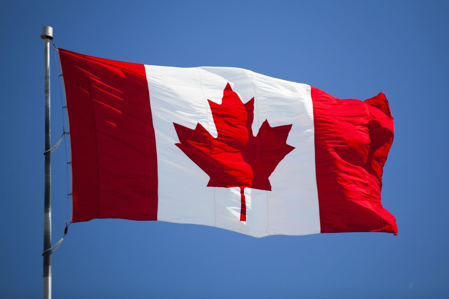 ? Kaiserbox ? - Canada ??  (2024)