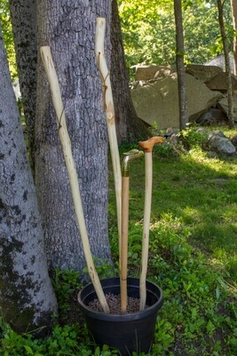 Walking Sticks and Canes
