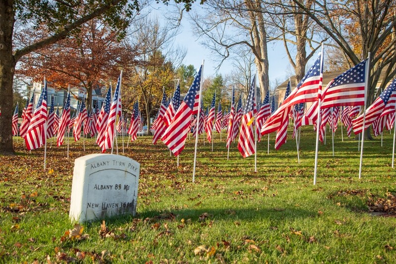 Field of Flags