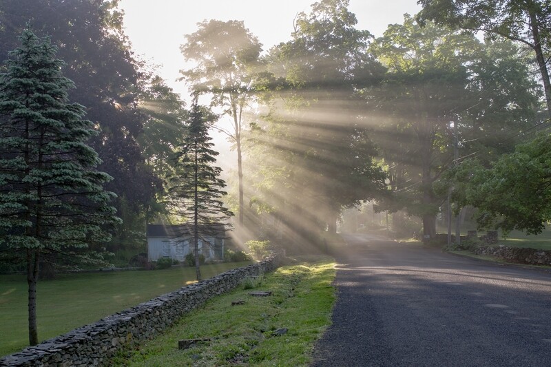 Morning Light