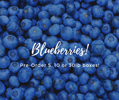 Blueberries