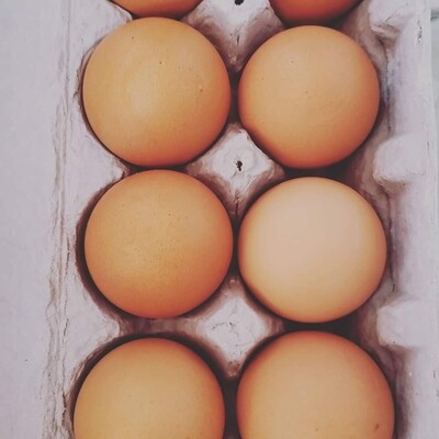 Fresh Brown Eggs