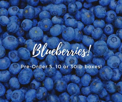5# Box Blueberries Pre-picked and sorted