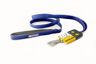 Leads