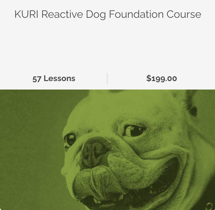 Reactive Dog Foundation Course Online