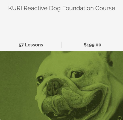 Reactive Dog Foundation Course Online