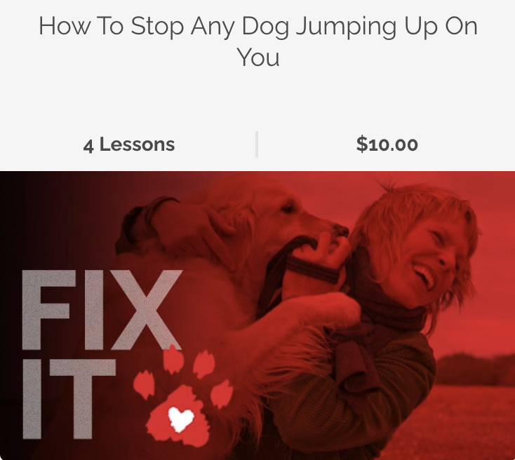 Fix It Video Dogs (How to stop a dog jumping up)