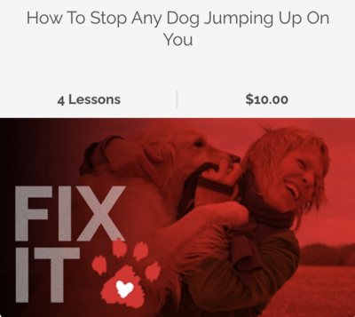 Fix It Video Dogs (How to stop a dog jumping up)