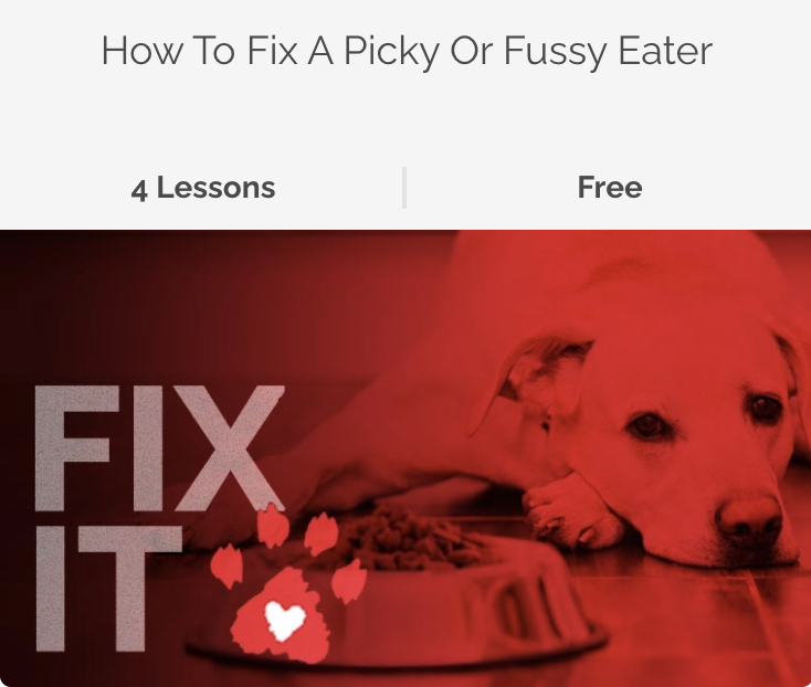 Fix It Video Dogs (How to fix a picky or fussy eater)