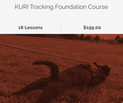 Kuri Tracking Course For Dogs