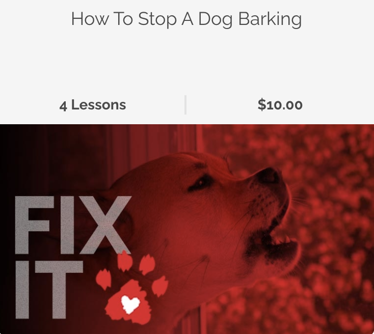 Dog Fix It Videos (How to stop a dog barking)
