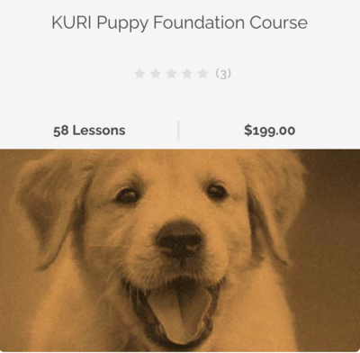 Online Puppy Training Course