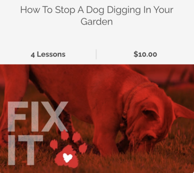 Fix It Video Dogs (How to stop a dog digging in your garden)