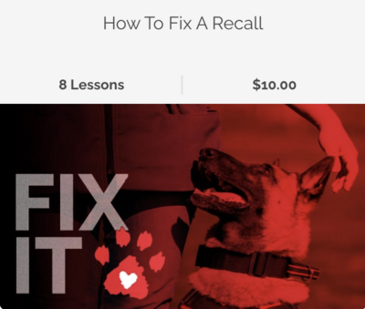 Fix It Video Dogs (How to fix a recall)
