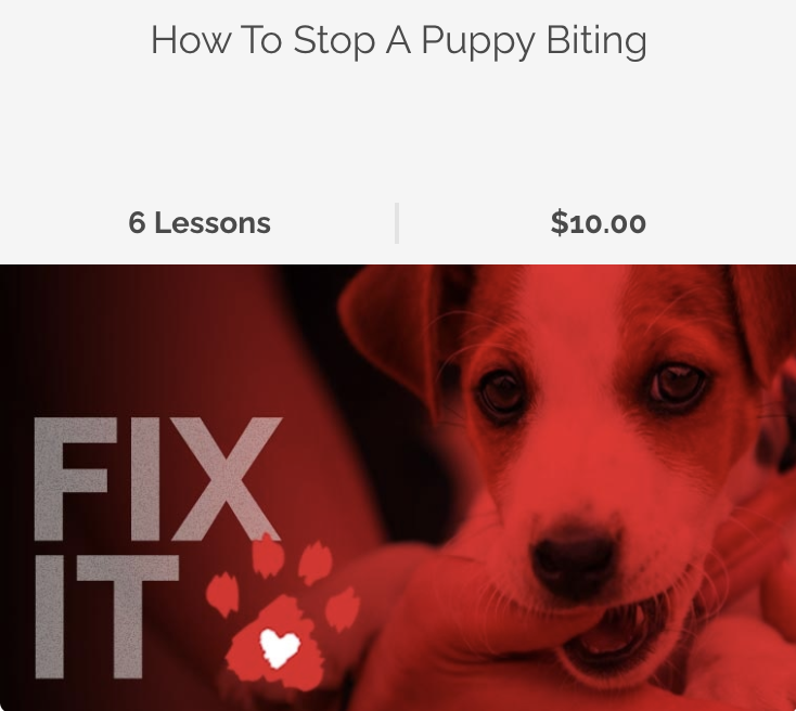Fix It Videos Dogs (How to stop a puppy biting)
