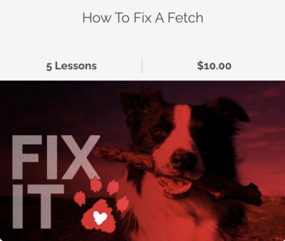 Fix It Video Dogs (How to fix a fetch)